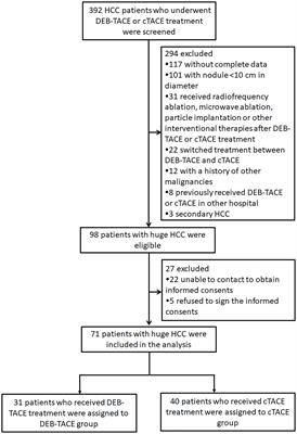 Comparison of Treatment Response, Survival Profiles, as Well as Safety Profiles Between CalliSpheres® Microsphere Transarterial Chemoembolization and Conventional Transarterial Chemoembolization in Huge Hepatocellular Carcinoma